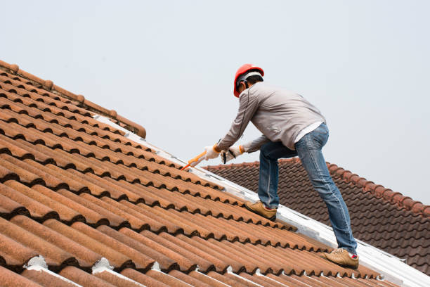 Best Roof Insulation Installation  in Merkel, TX